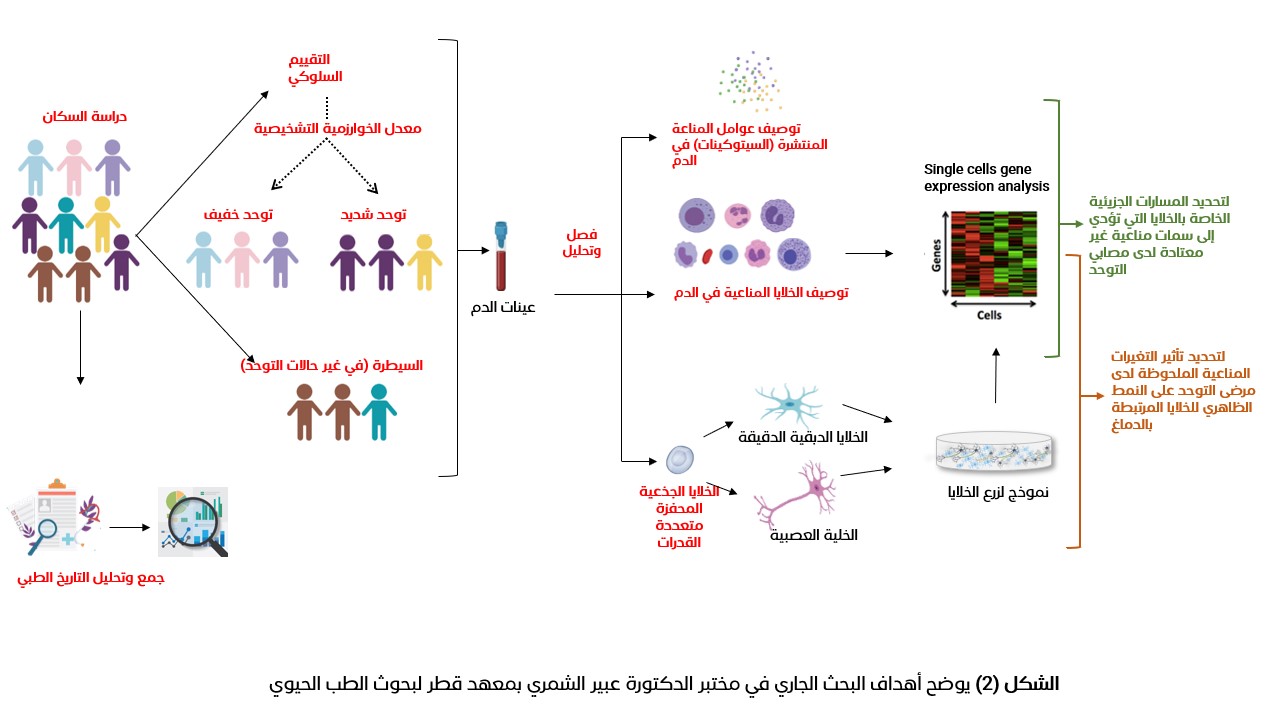 الشكل (2) يوضح أهداف البحث الجاري في مختبر الدكتورة عبير الشمري بمعهد قطر لبحوث الطب الحيوي
