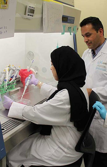 Qatar National Strategy (QNRS)