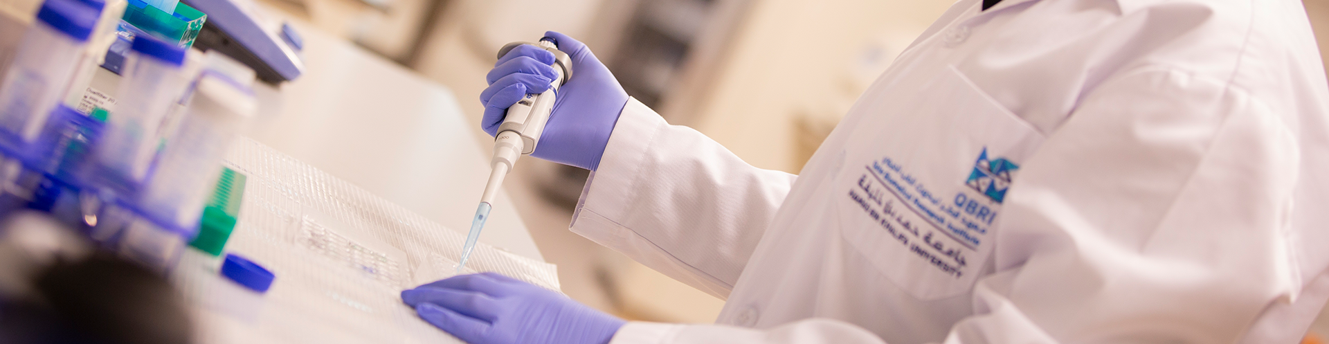 Mechanistic Analysis 