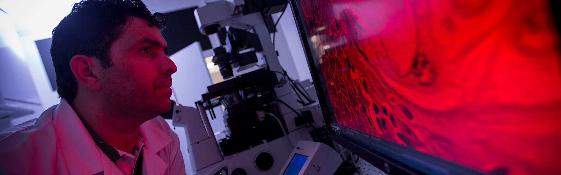 Diabetes Research Center- Research Collaborations