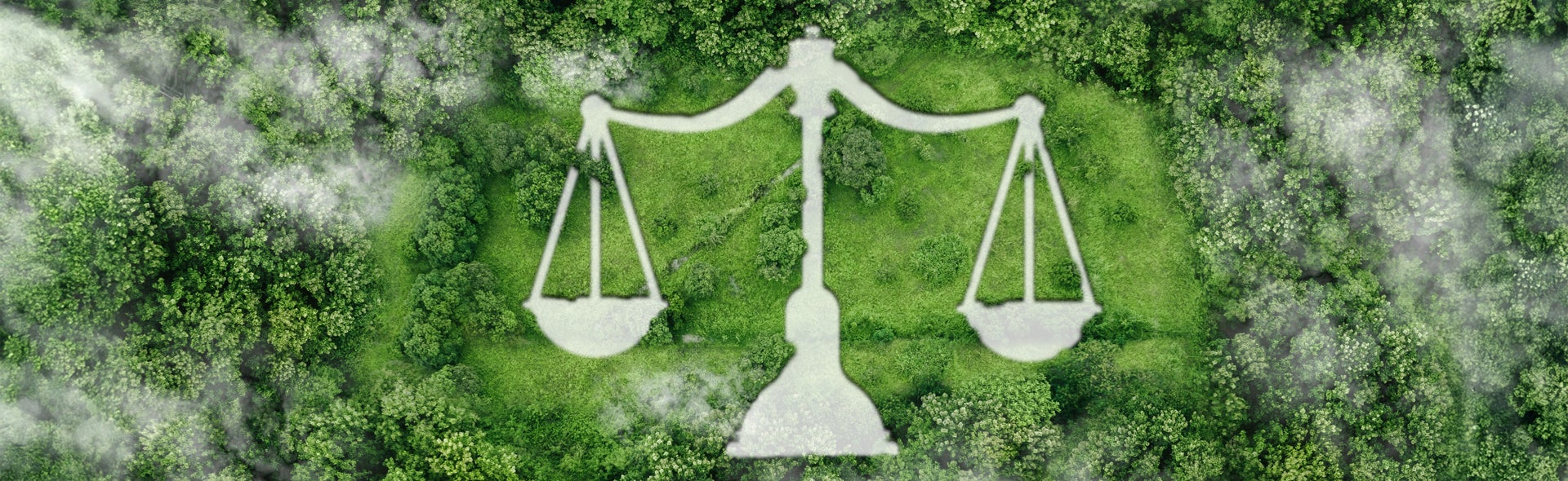 Courts and Emerging Norms in International Climate Law