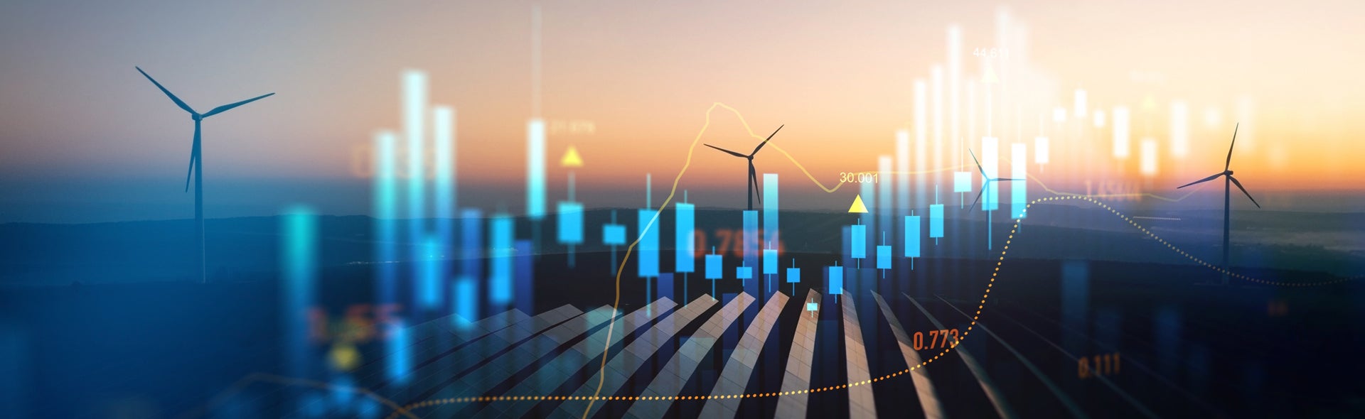 International Investment Promotion