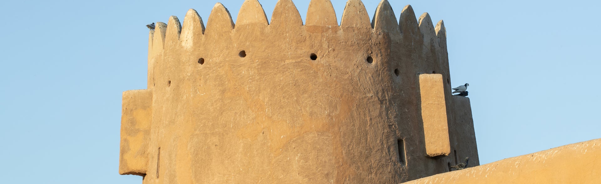 Legal Strategies for Protecting Cultural Heritage Banner