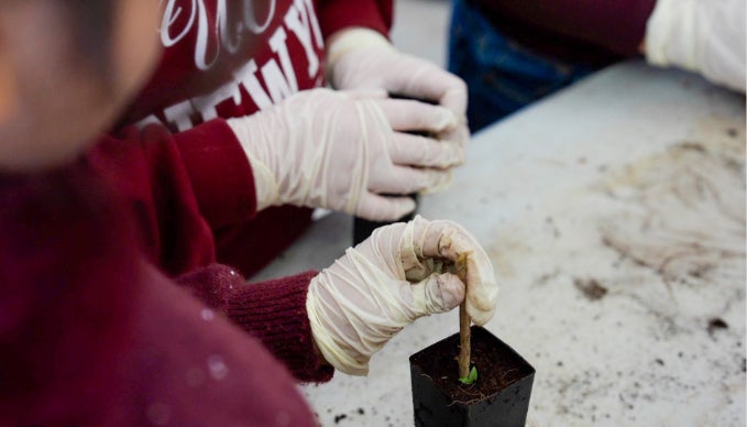 Participants conducting lab experiences