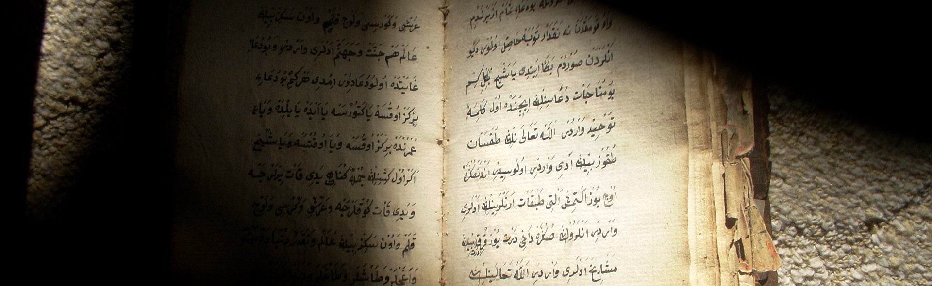 Public Lecture Series