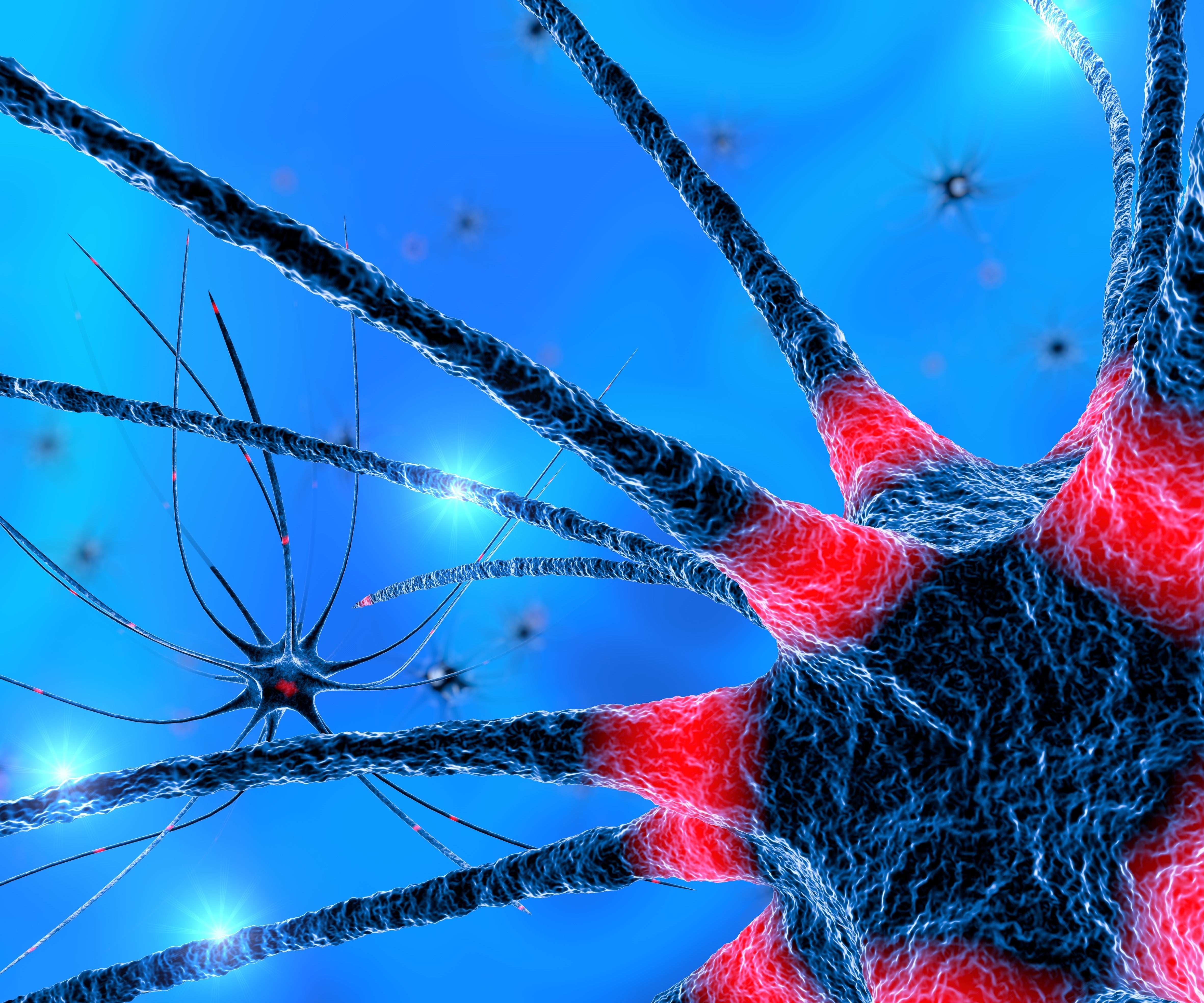 Alzheimer's Research at QBRI Unveils Potential Therapeutic Compounds