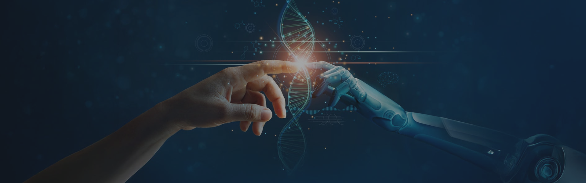 Innovation and Commercialization
