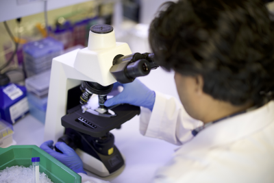 الباحثون في معهد قطر لبحوث الطب الحيوي التابع لجامعة حمد بن خليفة