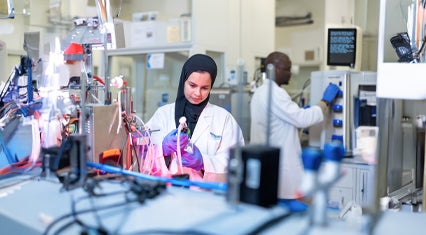 College of Health & Life Sciences Information Session