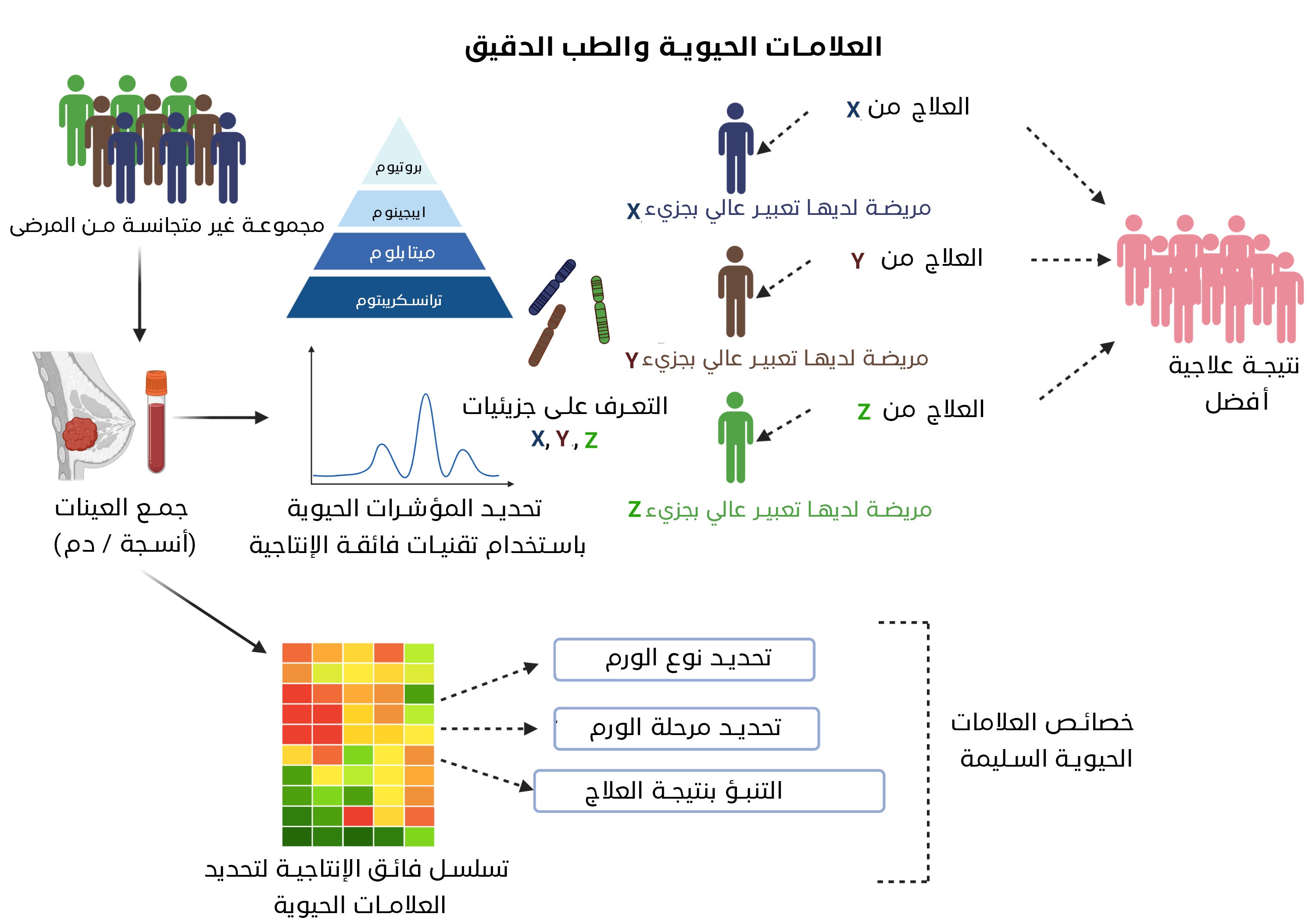 الشكل (1) عرض تخطيطي لاستخدام العلامات الحيوية والطب الشخصي في علاج سرطان الثدي الشكل (1) عرض تخطيطي لاستخدام العلامات الحيوية والطب الشخصي في علاج سرطان الثدي