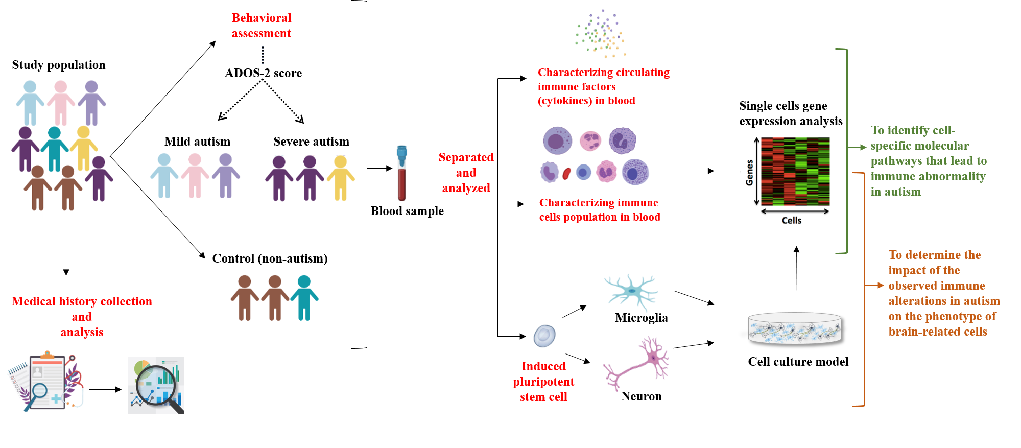 Figure 2. Schematic illustrating the research objectives at Dr. Al-Shammari’s laboratory (QBRI)
