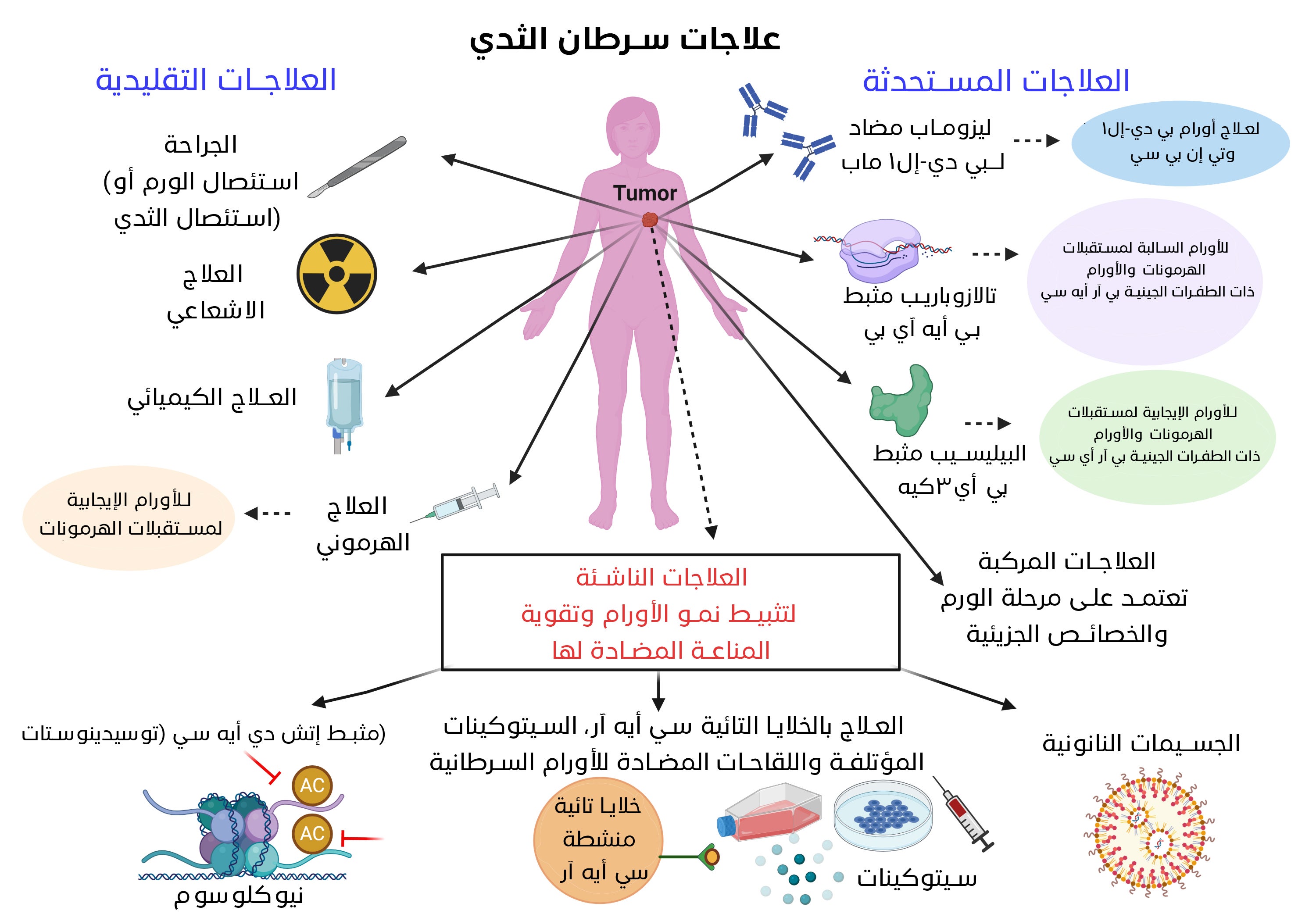 الشكل (3) علاجات سرطان الثدي المتوفرة حاليًا والاستراتيجيات العلاجية المقترحة لتحسين النتائج السريرية لدى المرضى الذين لا يستفيدون من العلاجات التقليدية. الشكل (3) علاجات سرطان الثدي المتوفرة حاليًا والاستراتيجيات العلاجية المقترحة لتحسين النتائج السريرية لدى المرضى الذين لا يستفيدون من العلاجات التقليدية.