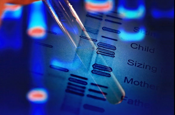 Genetic Fingerprinting and its Role in Asserting or Denying Paternity