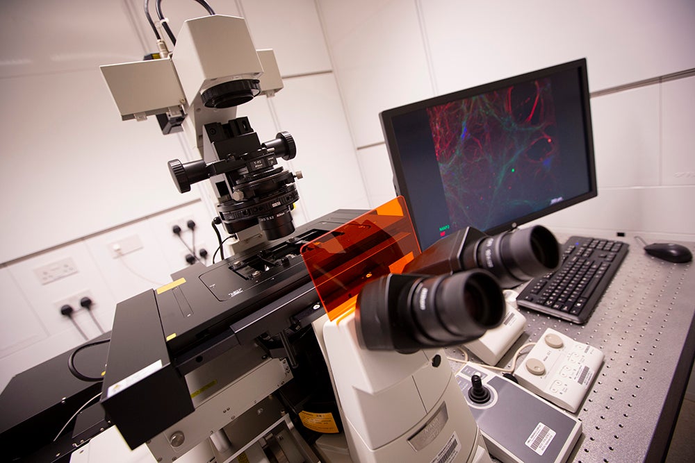 HBKU’s Qatar Biomedical Research Institute Joins Hands with Qatar University to Provide Research Analytical Services