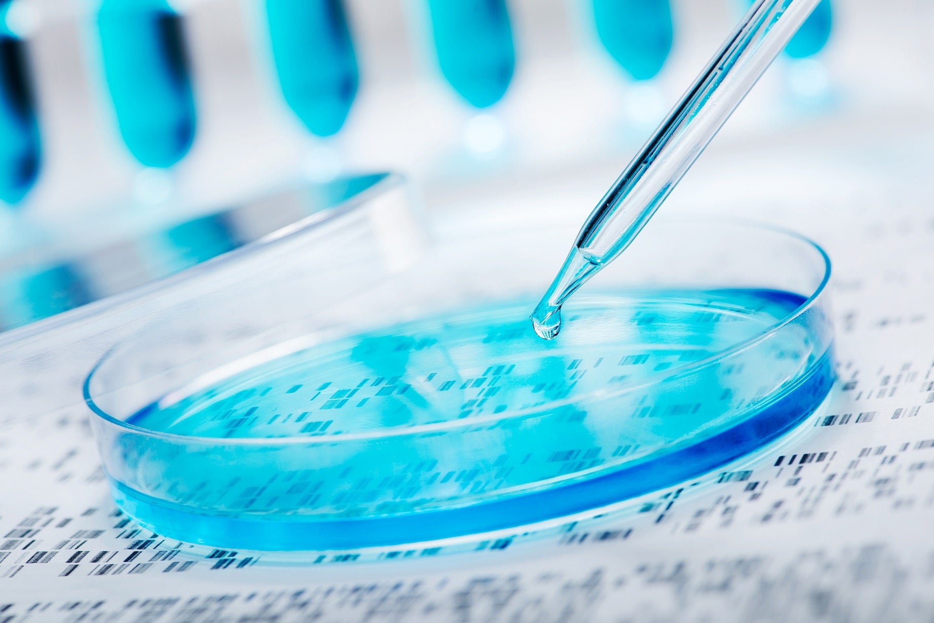 مهدت اتفاقية التعاون، التي وُقِعت بين قطر جينوم وكلية العلوم الصحية والحيوية في نهاية عام 2020؛ الطريق أمام هذه المنحة