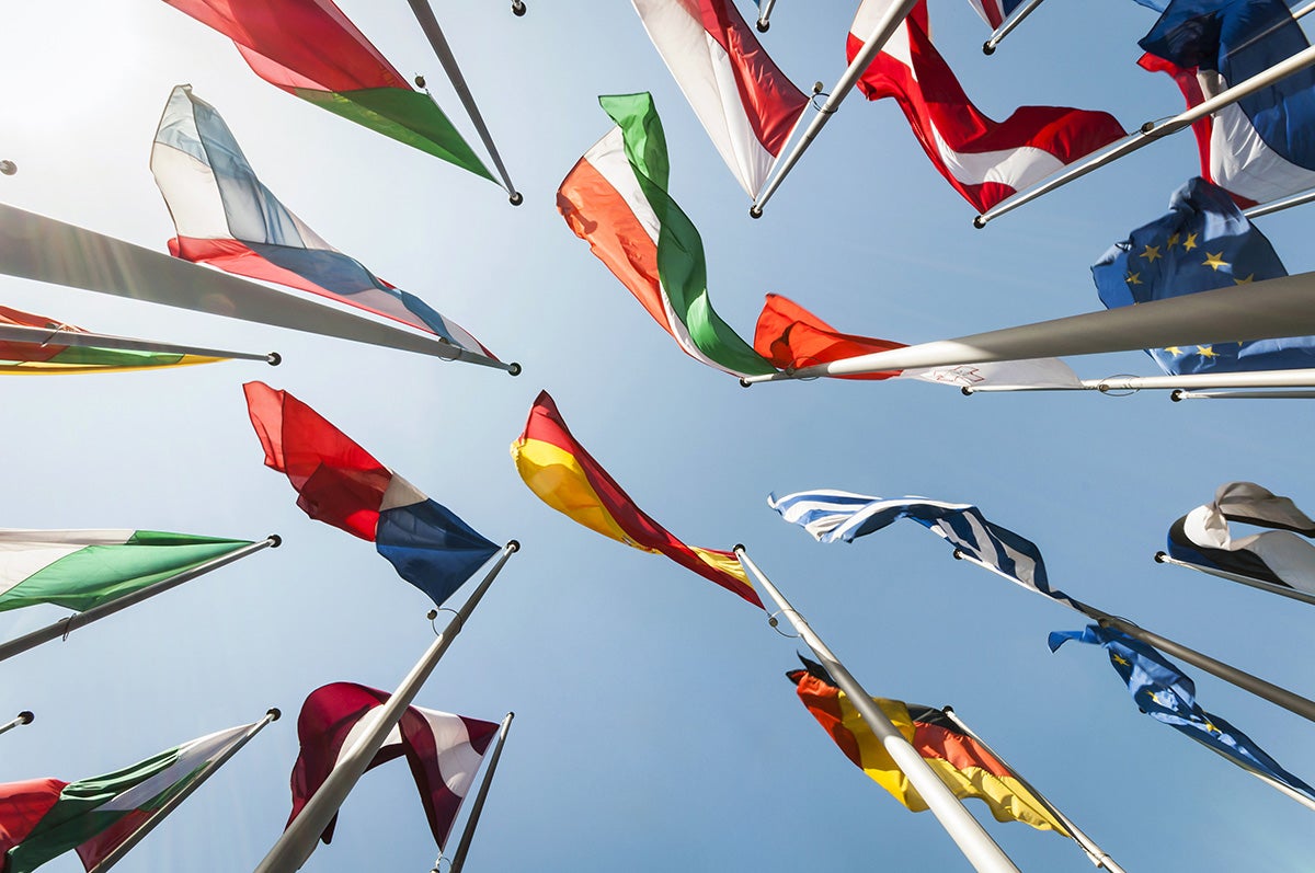 سيتم تدريس الدورات من قبل الخبراء في هذا المجال 