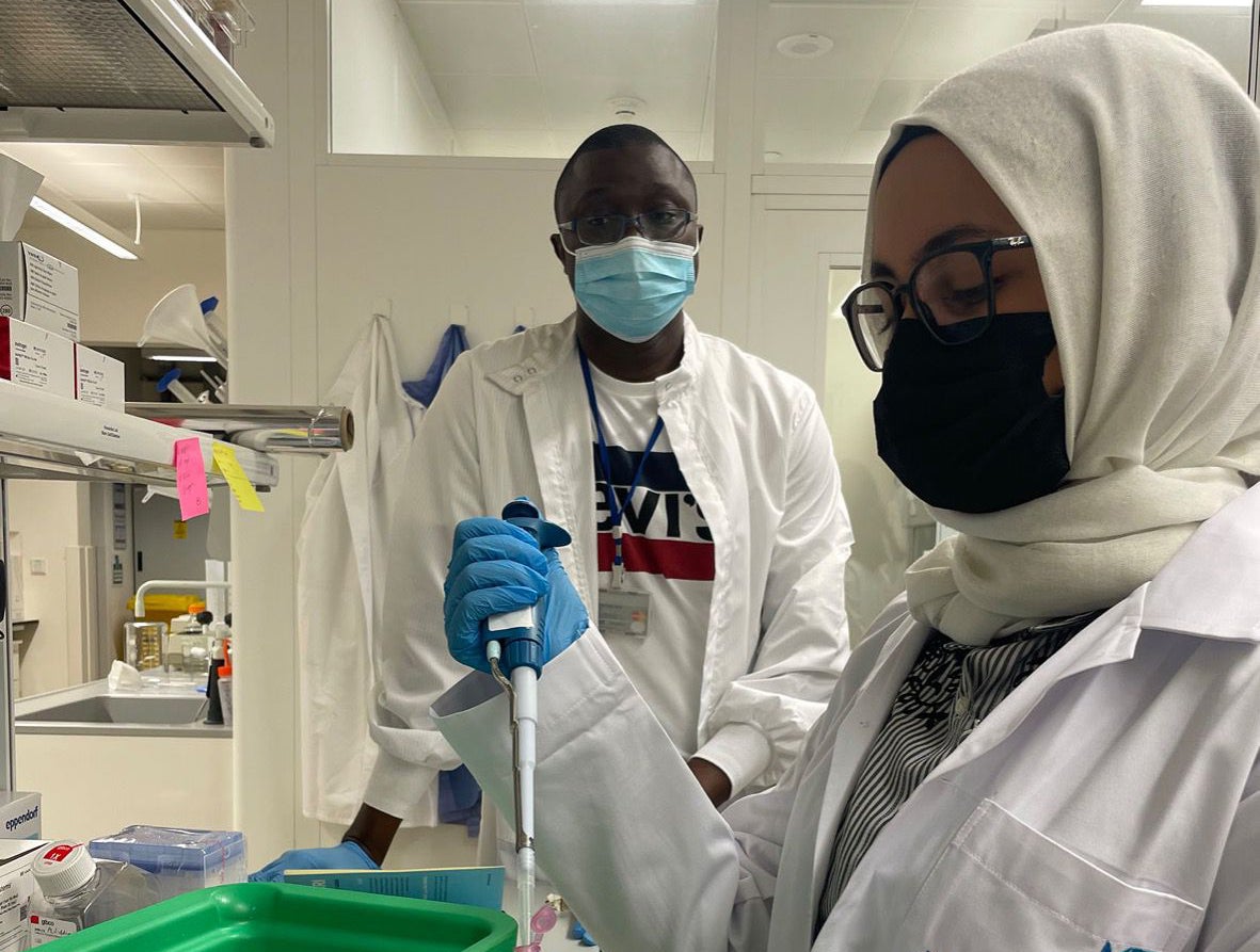 QBRI offers an internship program that helps students advance their hands-on research knowledge