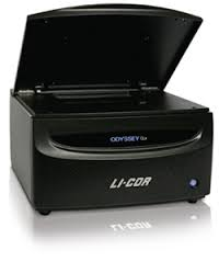 ODYSSEY® CLx scanner (LI-COR)
