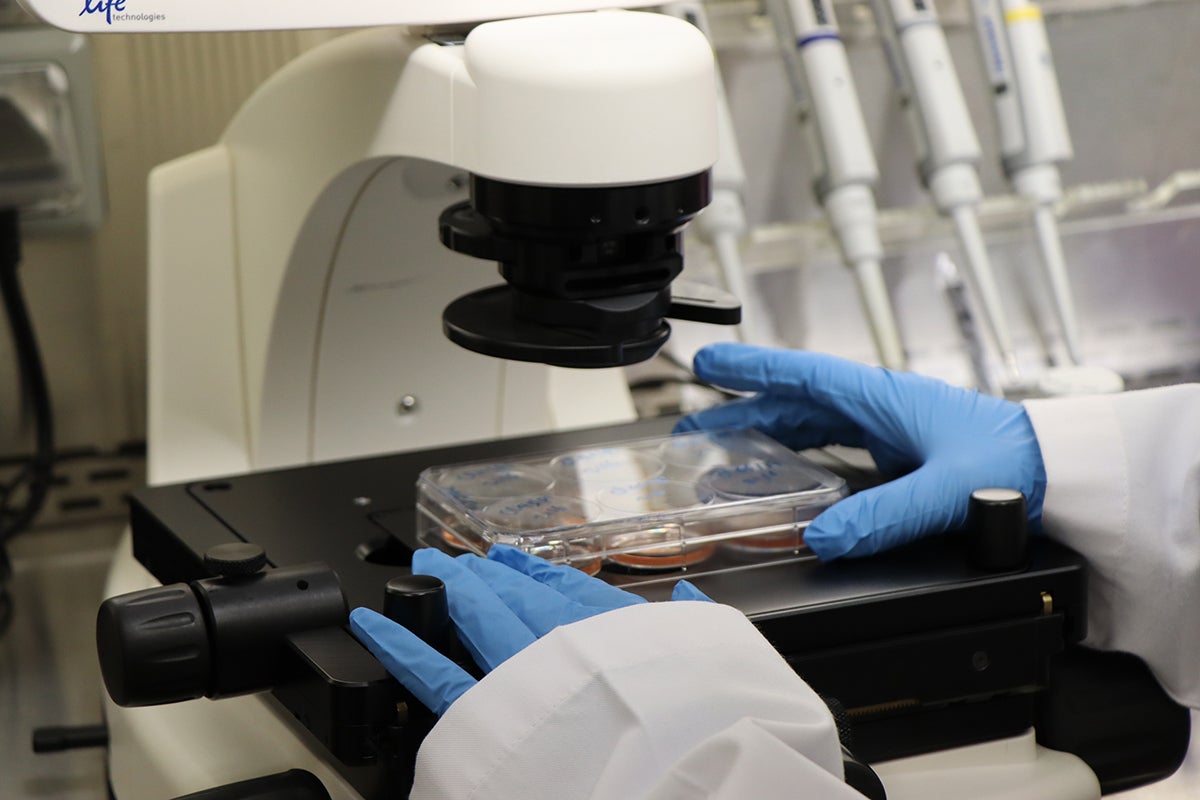 QBRI is one of three institutes within HBKU focusing on translational research