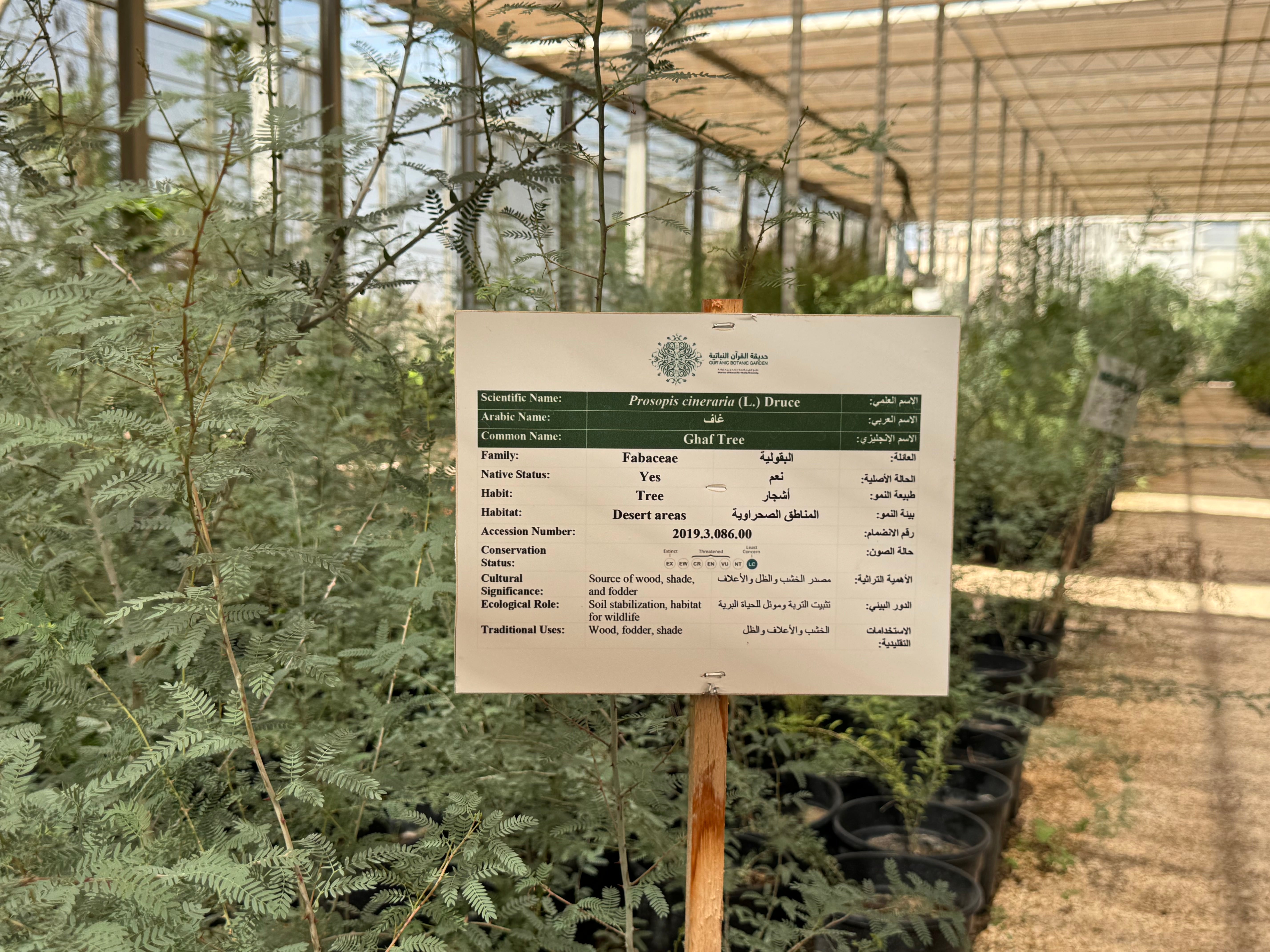 Representatives sign the agreement