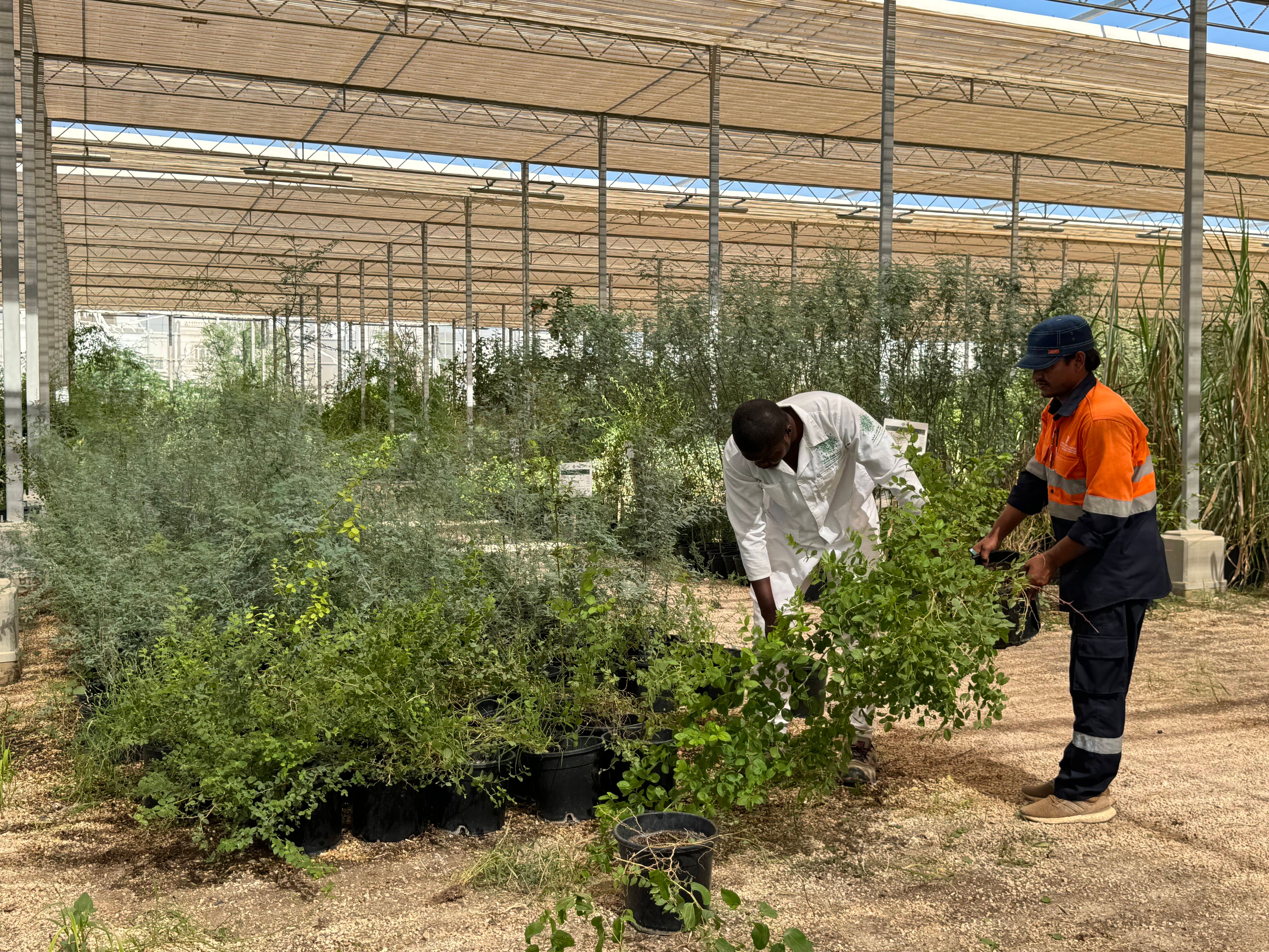 Representatives sign the agreement