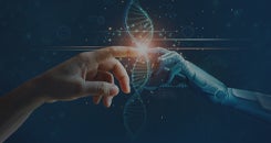 Innovation and Commercialization