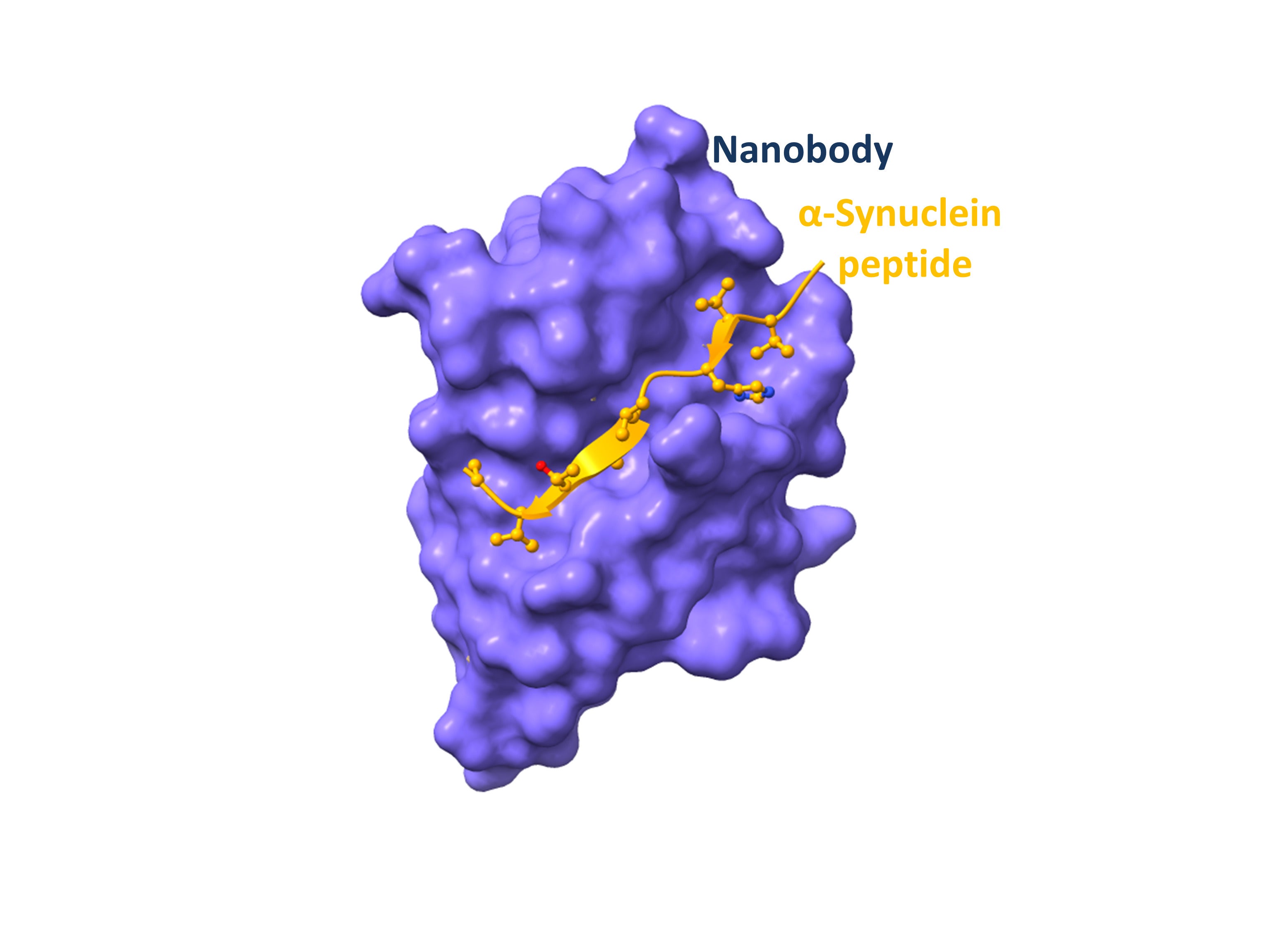 QBRI develops new strategy for tackling neurological diseases