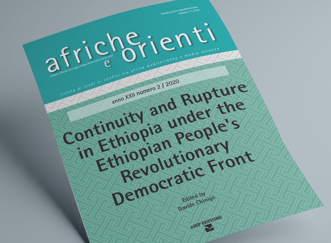 كلية السياسات العامة تحلل أنظمة الحماية الاجتماعية في إثيوبيا 