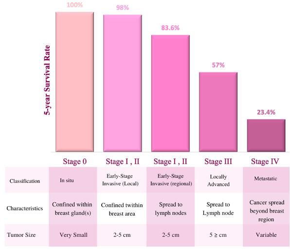 Figure 1: Breast cancer5-years survival rate by stage at diagnosis. the bar graph indicates the 5-years survival rate of cancer at different stages with certain classification, characteristics, and tumor size (3).