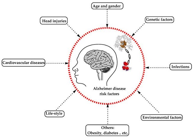 Fig 2. The risk factors for Alzheimer’s disease [3].