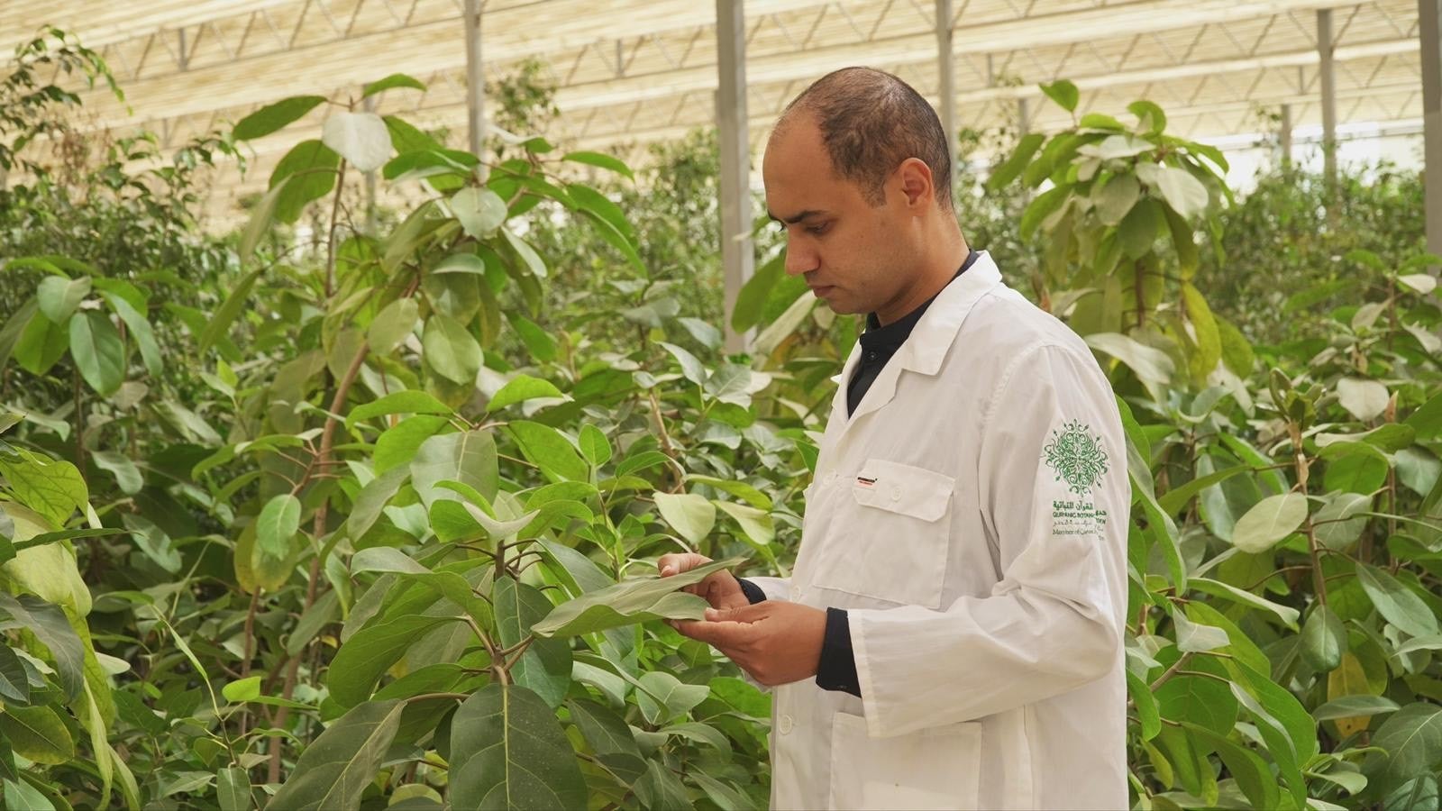 Sustainability experts discuss ways through which we can care for our plants