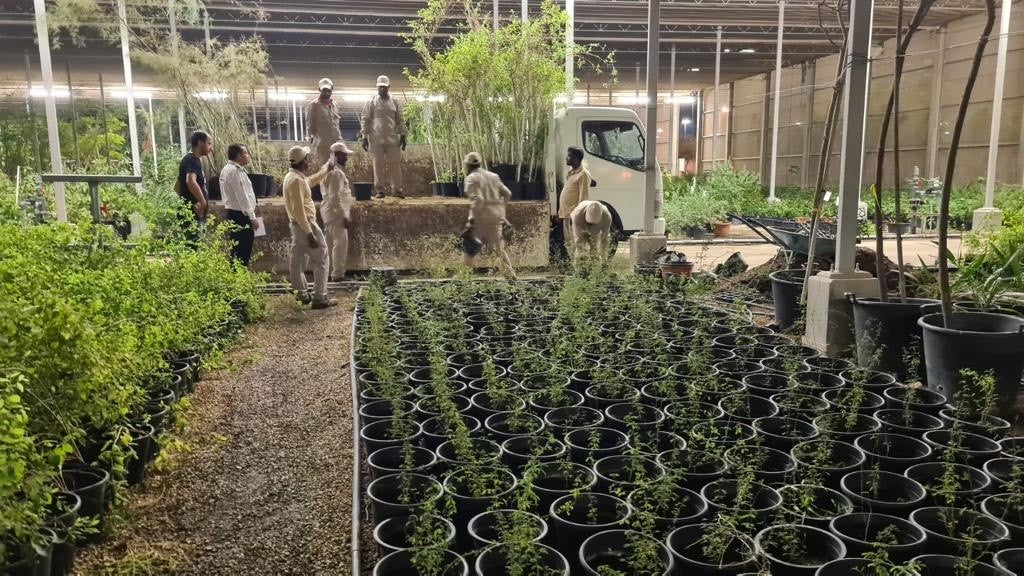 حديقة القرآن النباتية تهدي شتلات الأشجار لملاعب كأس العالم
