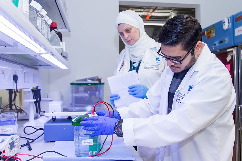 HBKU’s Qatar Biomedical Research Institute Announces 6th Summer Research Program 