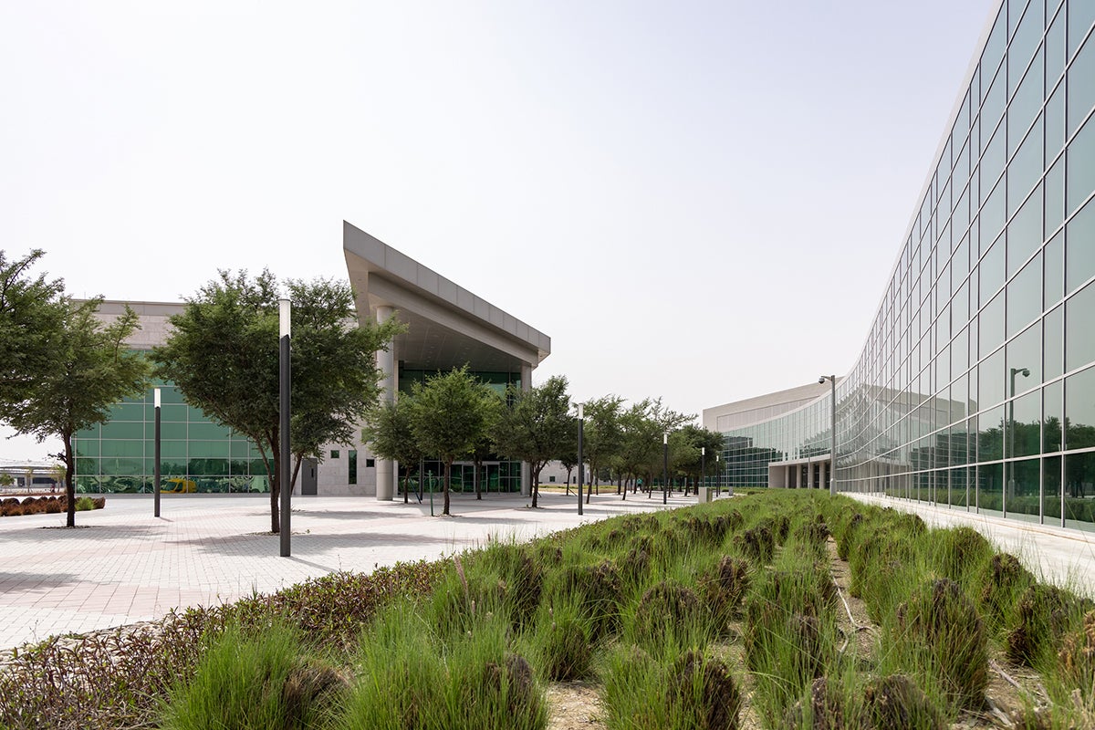 تم إدراج أسماء الخبراء في قائمة عالمية تصدرها جامعة ستانفورد الأمريكية ودار النشر الرائدة إلسفير