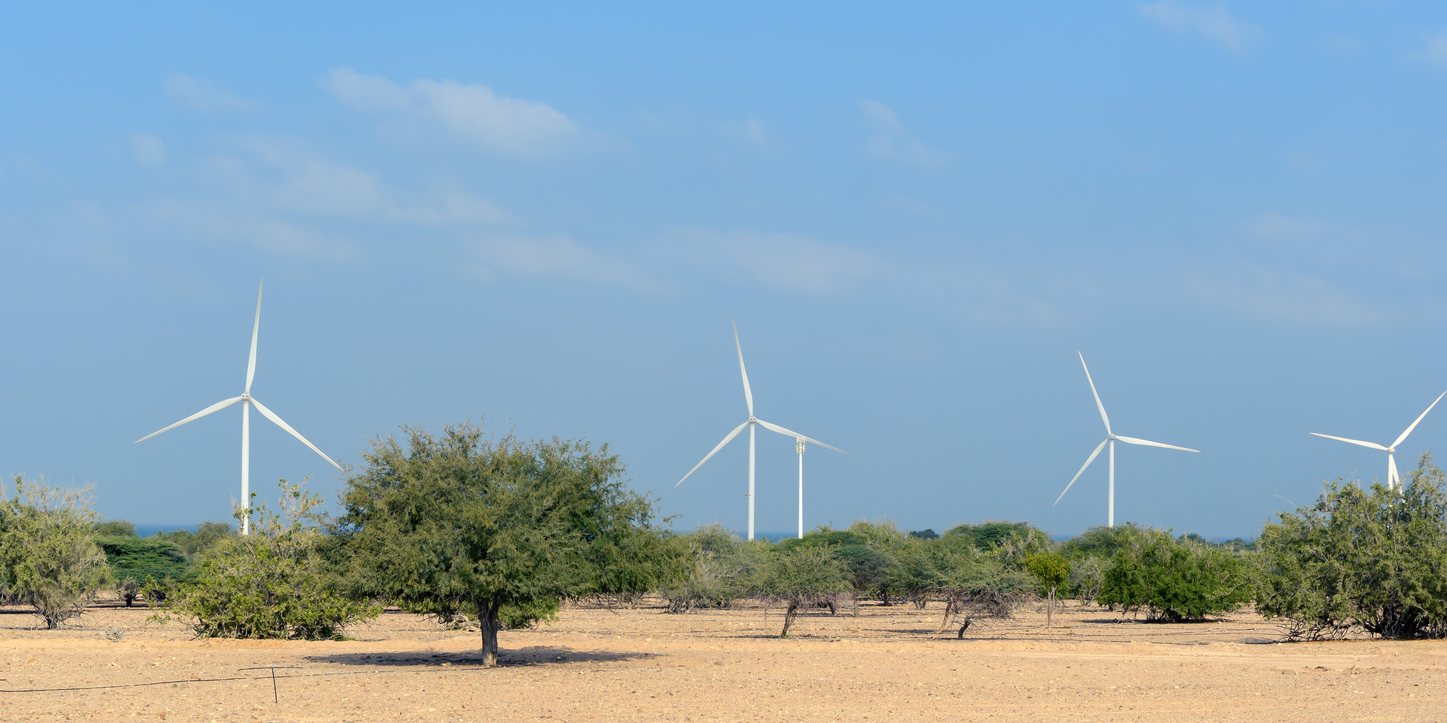 Applied Sustainability Strategies 