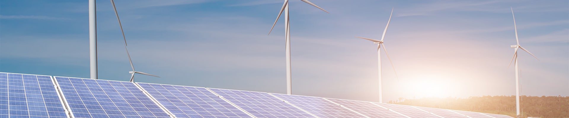 المرآة الخضراء: نظرة على مستقبلنا المستدام