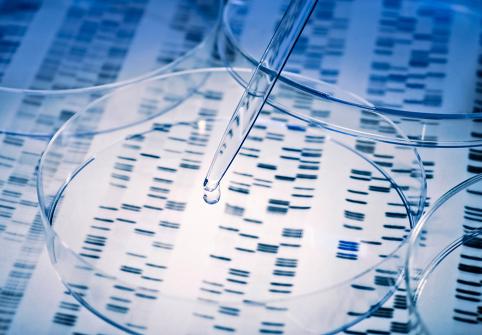 Single-Cell Genomics in Precision Medicine