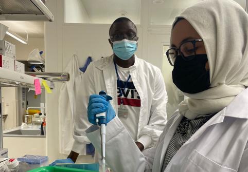 يقدم معهد قطر لبحوث الطب الحيوي برنامج تدريبي داخلي يساعد الطلاب على تطوير معارفهم البحثية العملية 