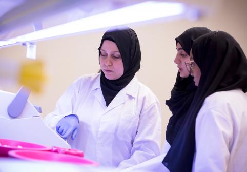  الدكتور مريم المفتاح عالِمة في معهد قطر لبحوث الطب الحيوي وأستاذ مساعد في كلية العلوم الصحية والحيوية في جامعة حمد بن خليفة.