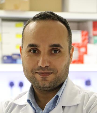 Dr. Ahmed Kamel Elsayed Abdelaal