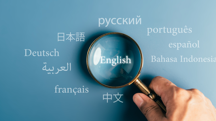 إدارة المصطلحات في الممارسة الترجمية
