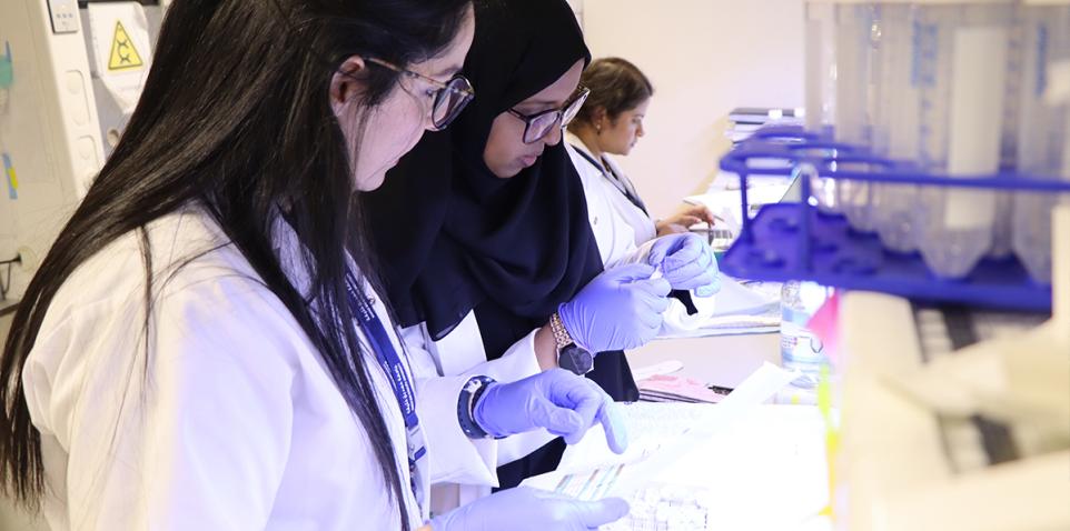 The QBRI team, led by Dr. Omar El-Agnaf, Principal Investigator, Neurological Disorders Research Center, evaluating the combined alpha–synuclein test’s results.