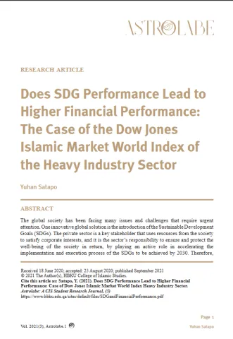 SDG Performance 