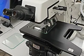 optical_microscopy.png